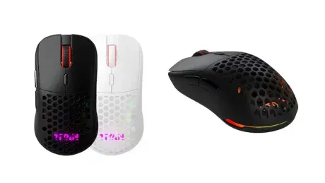 Mouse Source 1